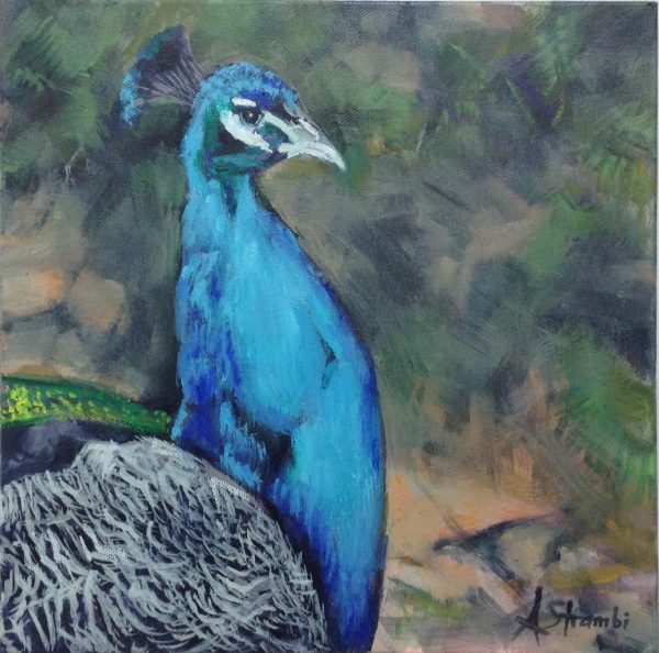 Peacock Final Large 29may