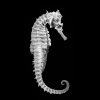 Seahorse4xmsquare300smaller