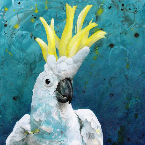 Sulphur Crested Cockatoo