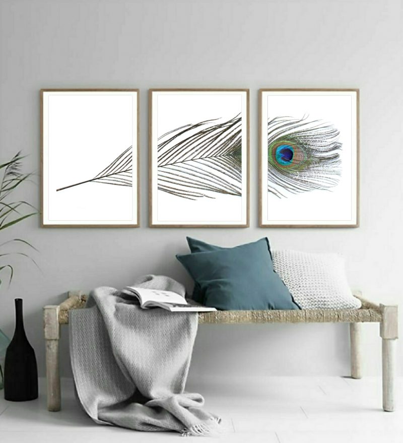 Peacock Feather Triptych ~ Still Life Photography