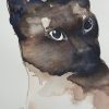 Artist Leni Kae Siamese Cat Detail Watercolour Cat Painting Original Art