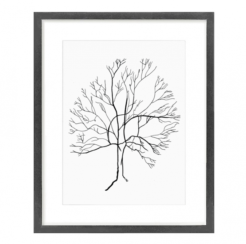 Australis Map Tree 1.1