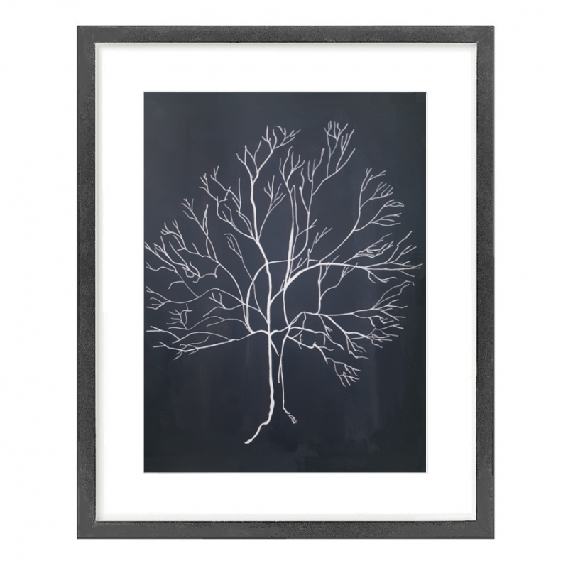 Australis Map Tree 2.1