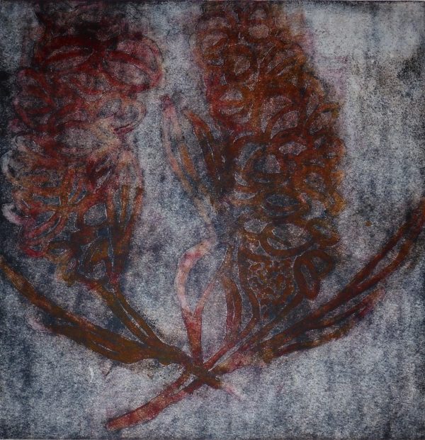 Banksia 4 Colour Print