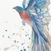 Bluebird In Flight Leni Kae Watercolour Painting Original 2