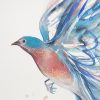 Detail Bluebird In Flight Leni Kae Watercolour Painting Original