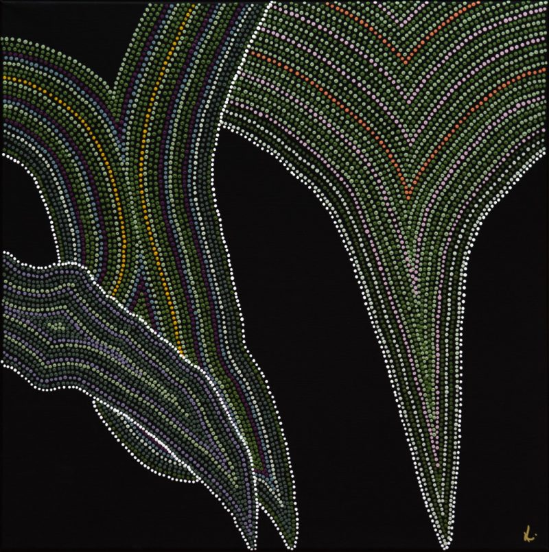 Flora and Fauna (Colour Correction)