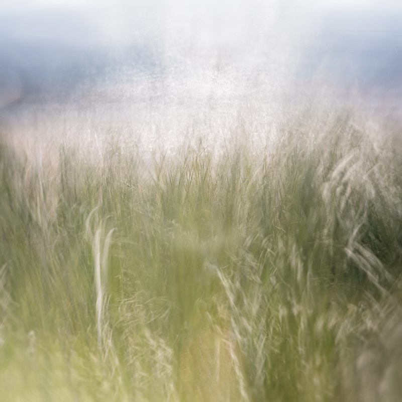 New Possibilities — Ltd Ed Print