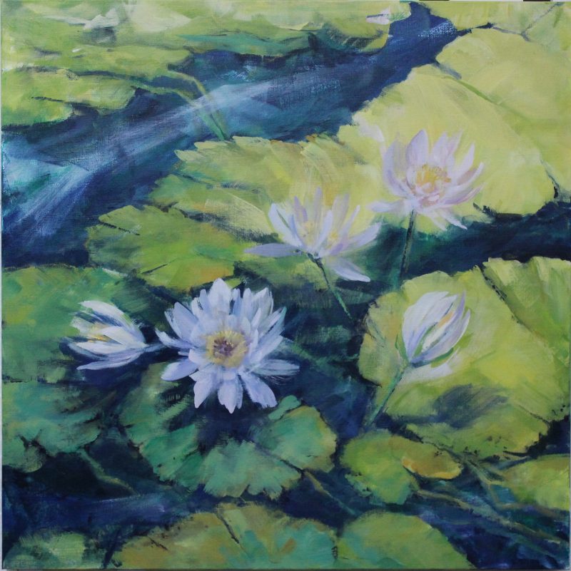 Waterlilies One Pale Pink Blossom