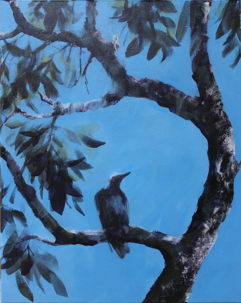 Summertime – Magpie song