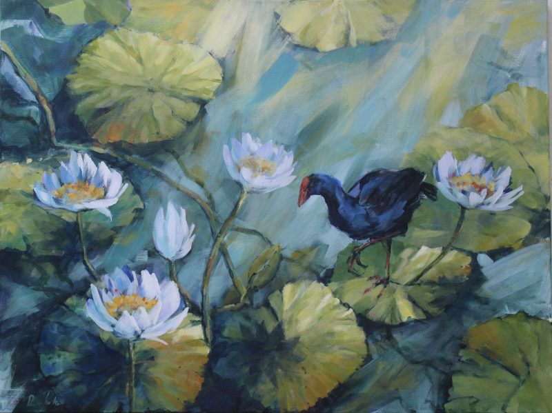 Walking through Lillies