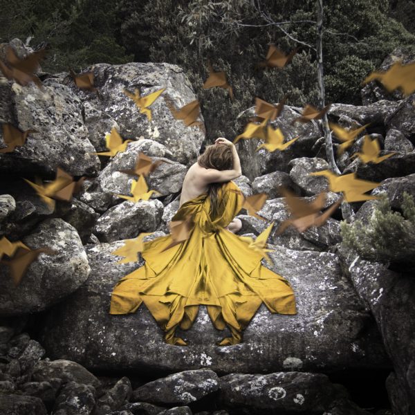 View more photography by Kellie North Bird Art1