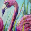 Flamingos 4