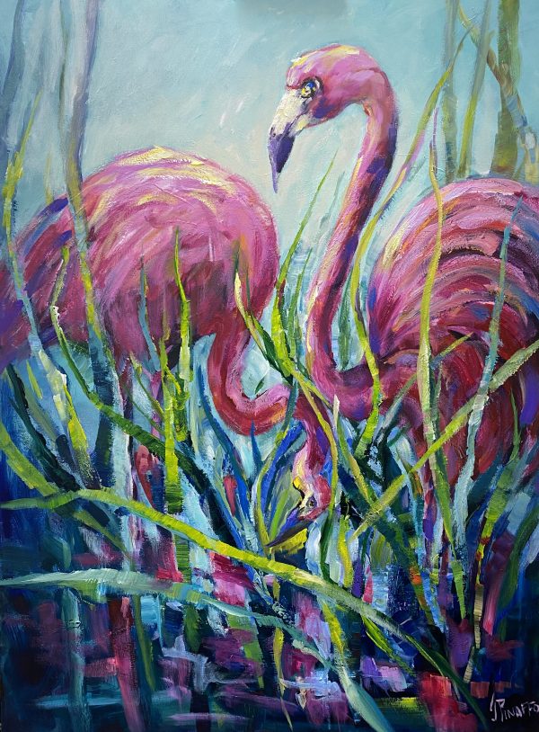 Flamingos