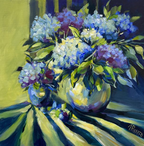 Hydreangeas On Display 1