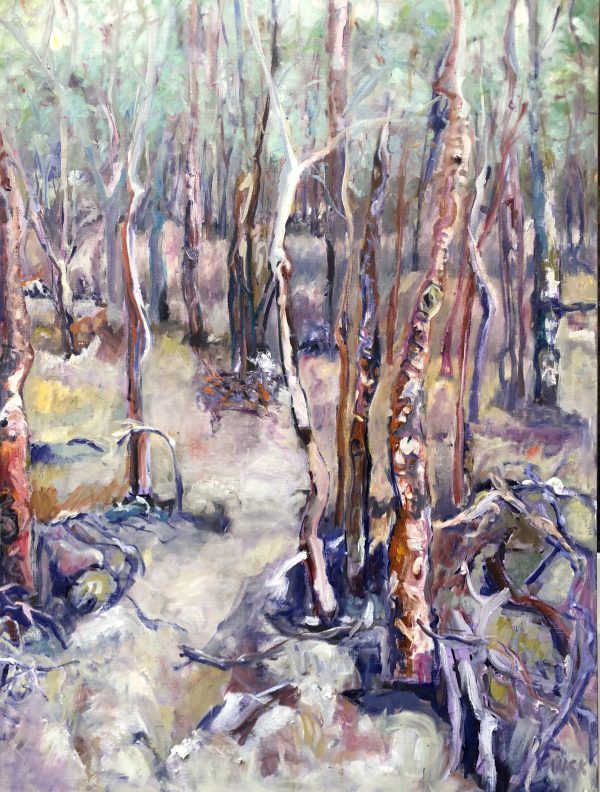 Trees On Kangaroo Island