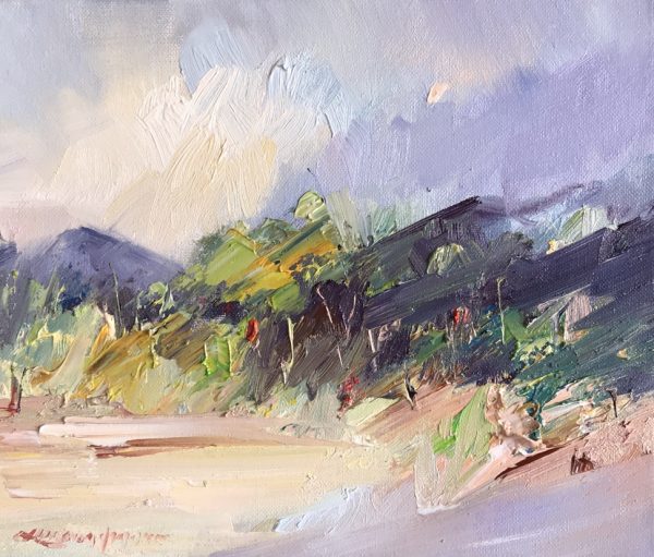 206 Wilsons Prom No 6, 30x25x1.5cm 