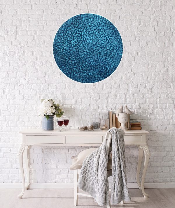 97d3705d 3685 47c6 94f9 Faffc0532dbe