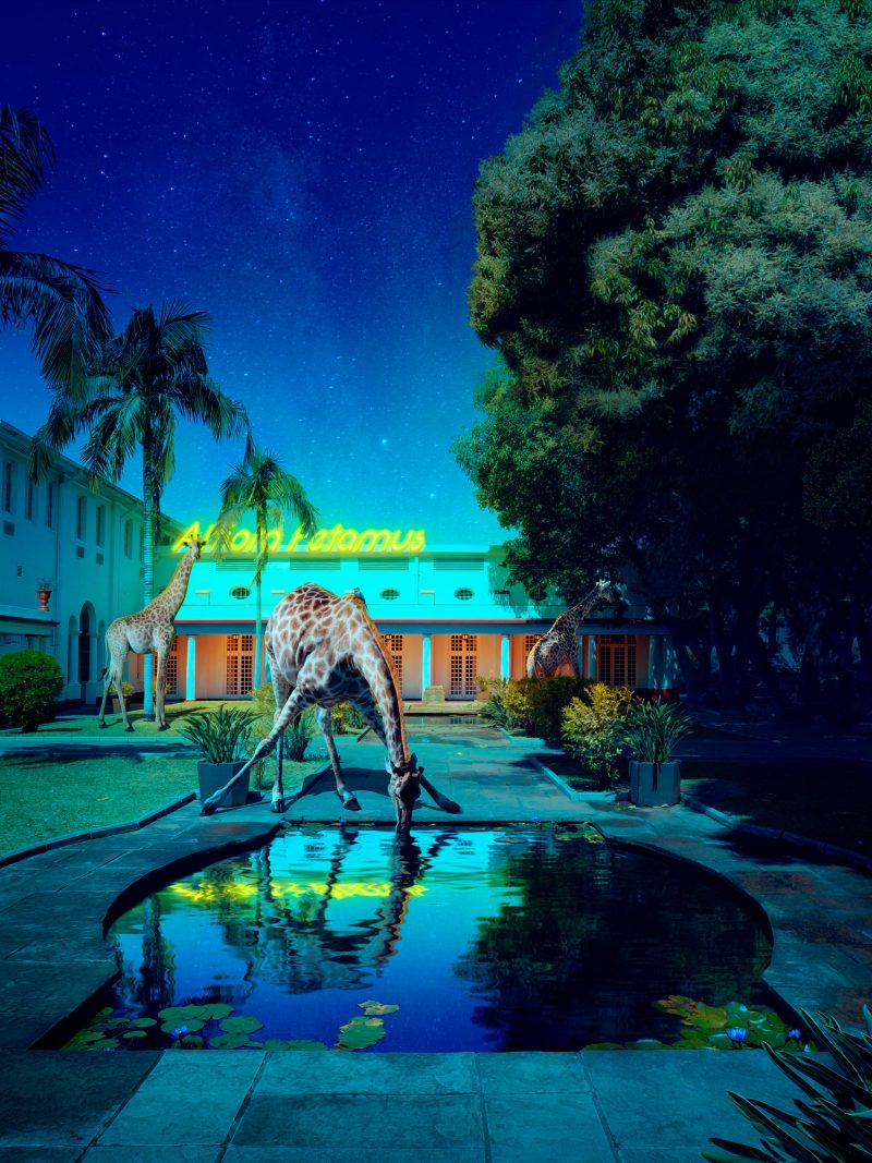 Africa I Altiora Petamus