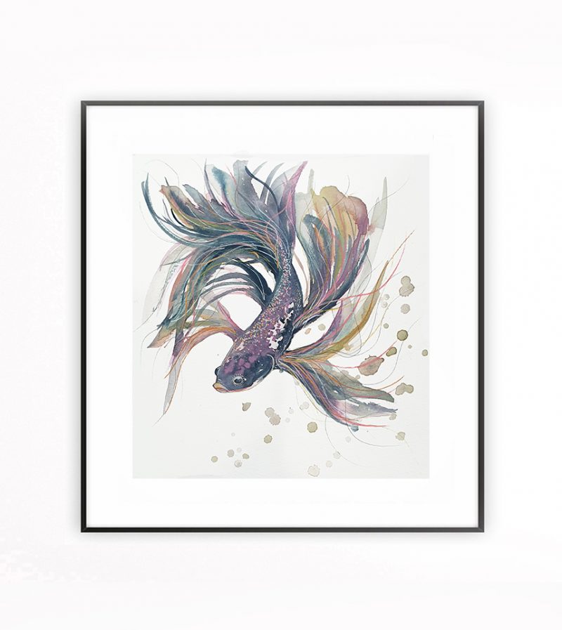 Lilac and Blue Betta Fish