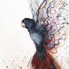 Artist Leni Kae Call Of The Red Tailed Black Cockatoo Watercolour Artwork July2020