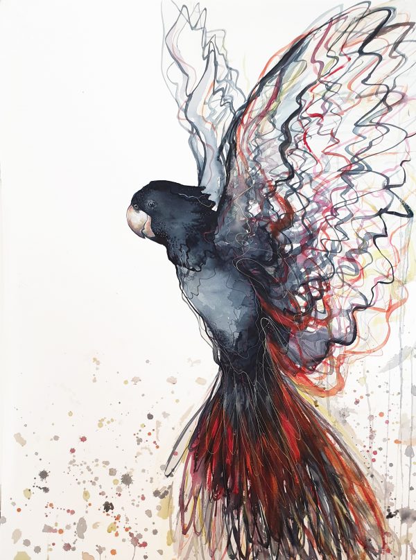 Artist Leni Kae Call Of The Red Tailed Black Cockatoo Watercolour Artwork July2020