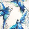 Artist Leni Kae Detail Of Budgie Bath In Blue A2 Size