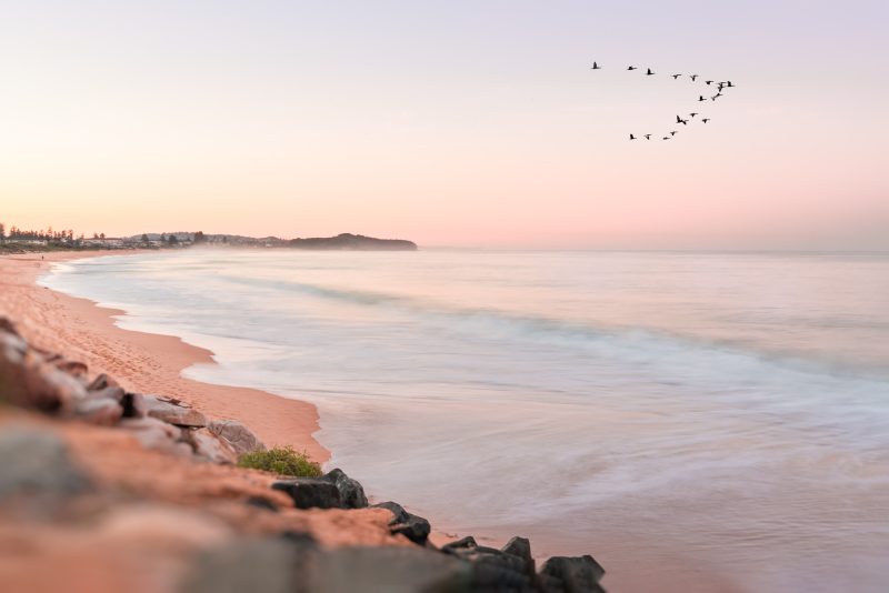 Beach Sunrise with Flock of Birds — Ltd Ed Print