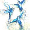 Budgerigar Blue And Green Leni Kae 3