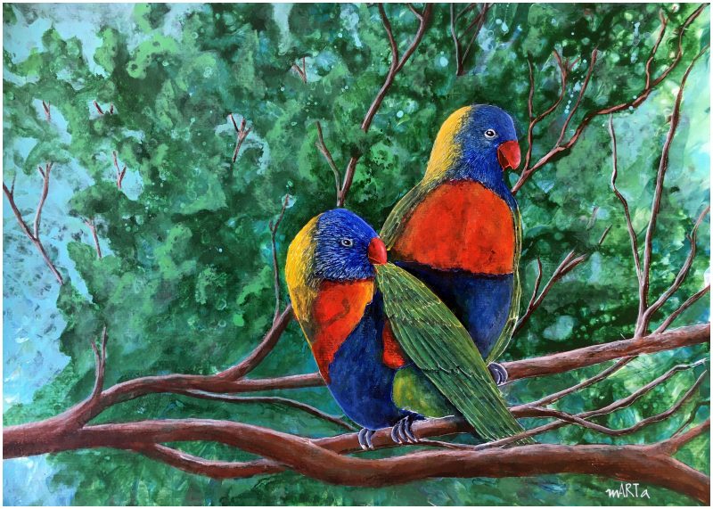 Noisy Lorikeets