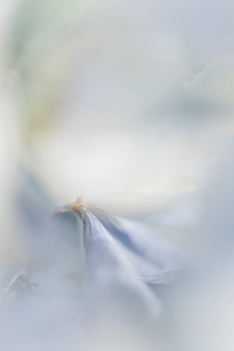 Invisible Geography — Ltd Ed Print