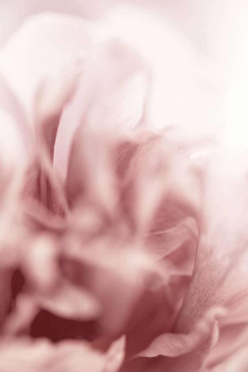 Kindness — Ltd Ed Print