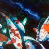 Koi Fish New Close