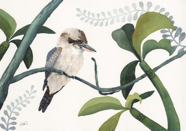 Kookaburra Song by CLARE MCCARTNEY