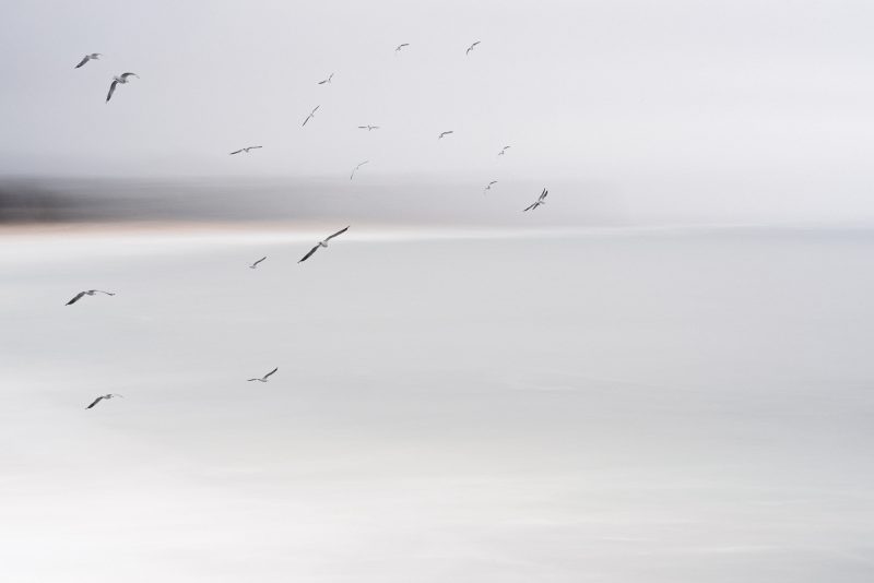 True North — Ltd Ed Print