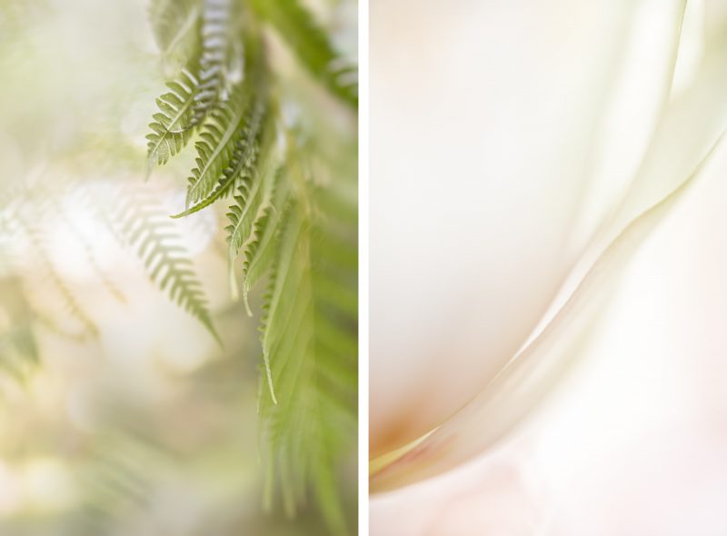 Whispered Wishes Diptych — Ltd Ed Print