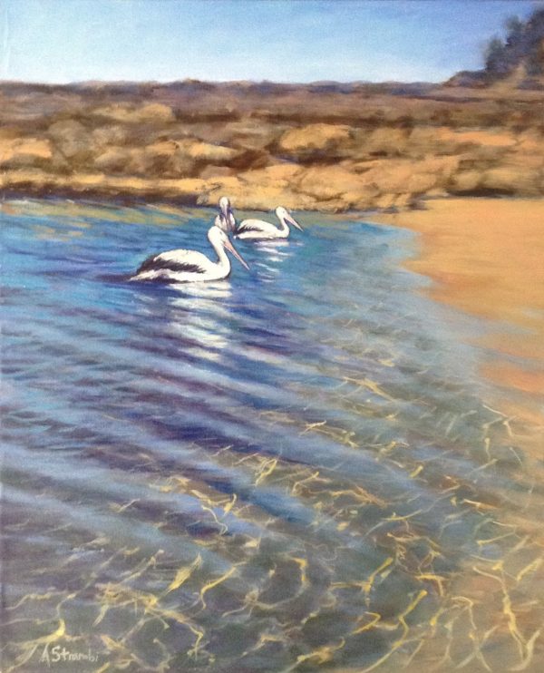 In The Lagoon Ipad 20nov