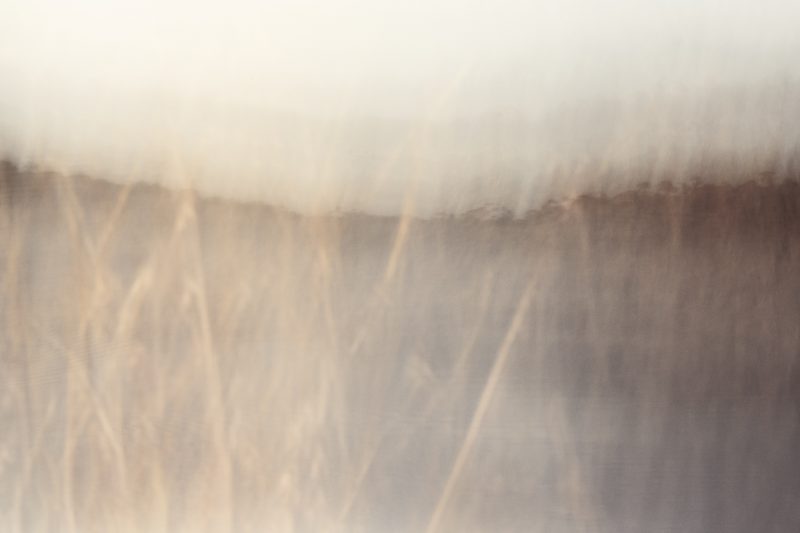 Tranquil Lake — Ltd Ed Print