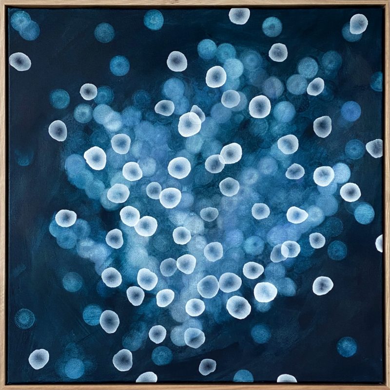 Aqueous Bloom Life Field IX