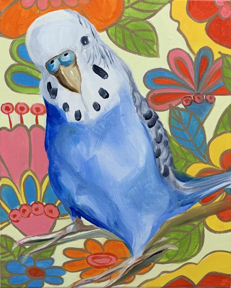 Retro Pop and the Blue Budgie