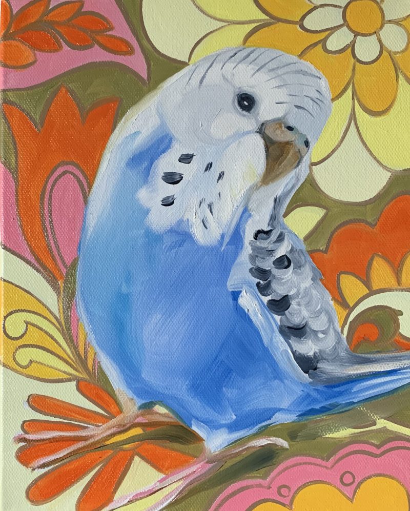 Retro Pop and the Light Blue Budgie