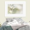 Flannel Flower Dream 2 Room