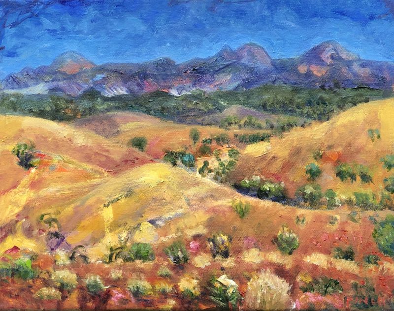 Landscape – Flinders Ranges
