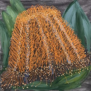 Natives Bansia Prionotes Aug20(60x60)