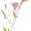 Pink Lisianthus Portrait 2