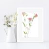 Pink Lisianthus Portraits 2 Print