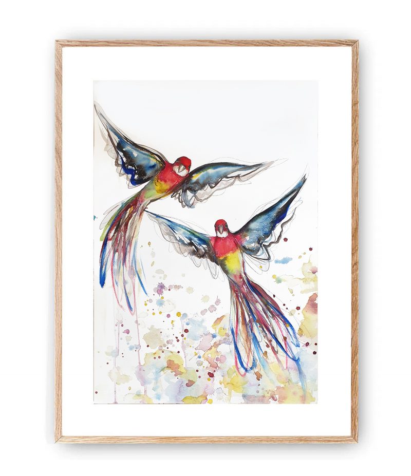 Rosellas Love in Flight