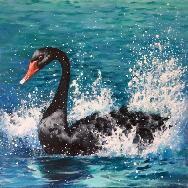 Swanning Around 28.8.2020