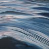 Ripples Reflection Thalassophile Close Up Alanah Jarvis Ocean Painting