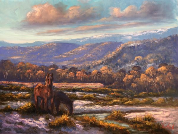 2020p0025 Brumbies On Snowy Mountains